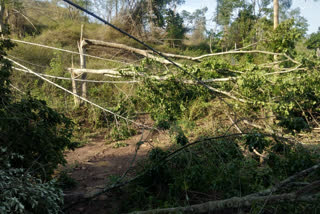 heavy rain in rourkela