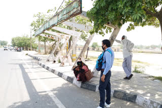 DTC Bus Shelter