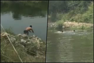 person drowning in faridabad agra canal viral video