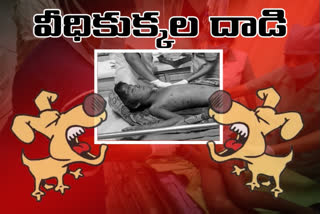 child-died-in-street-dogs-attack-at-boduppal-in-hyderabad