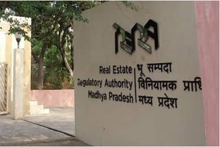 Real estate sector