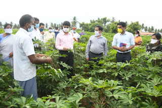 salem-collector-raman-inspected-cassava-agri-fields