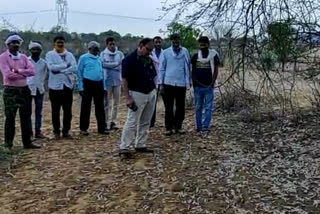 Karauli news, Locust encamped, Karauli farmer