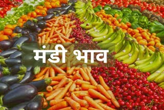 31-may-vegetable-and-fruit-prices-in-raipur