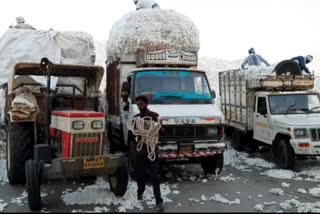 Over 86 thousand farmers unsold cotton due to COVID-19 lockdown in amravati Department