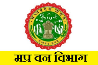 forest department