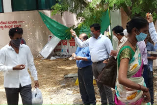 Flowering for those cured of the infection at raichur