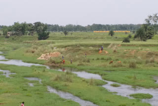 নদীর ধারে চলছে ইটভাটার কাজ