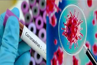 scientists-develop-method-to-reduce-corona-virus-count-in-blood-products