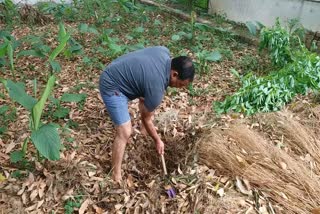 harak-singh-rawat-grown-vegetables-in-his-field