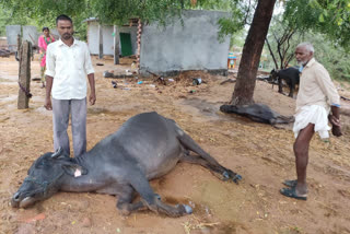 Heavy Wind rain in Yadaghirigutta district