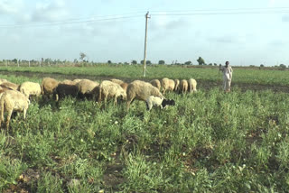 મોરબીના ખાનપર ગામના ખેડૂતની દરિયા દિલી