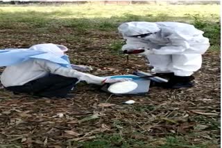 Veterinary doctors taking samples of bats