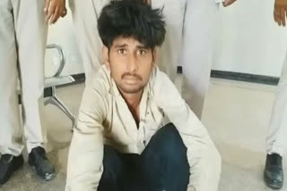 cow smuggler arrested from karman border palwal