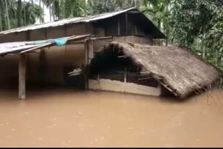 Flood situation in Assam improves, 1 more dead