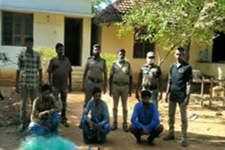 forests  Three arrested for hunting  hunting  ஆரல்வாய்மொழியில் வேட்டை  வனவேட்டை, கைது, ஆரல்வாய்மொழி