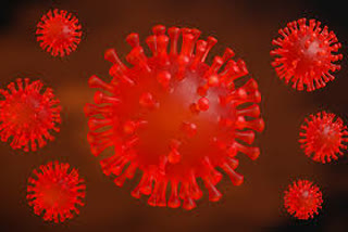 uttarakhand corona virus