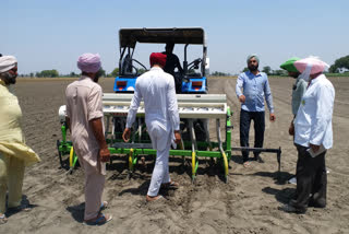 Direct sowing would be beneficial for the Barnala district