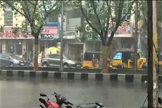 43 deaths in UP in incidents related to rain, thunderstorm: State govt