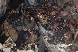 3 people died due to gas cylinder explosion in Raigarh