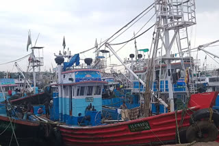 fishing news konkan  ratnagiri latest news  ratnagiri fishing news  रत्नागिरी लेटेस्ट न्युज  रत्नागिरी मासेमारी न्युज  कोकणात मासेमारीवर बंदी