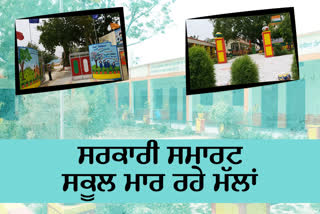 government school