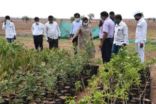 jogulamba gadwal district collector shruthi ojha on sanitation works