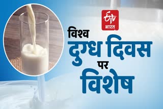 world milk day special