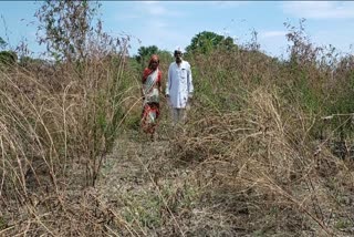 farmers in latur