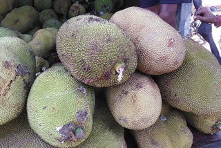 Malnad sweet Jackfruit sold in Koppal market