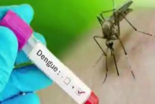 agencies in standby for vector borne diseases in delhi