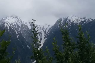 snowfall in upper areas of kinnaur