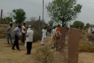 Jodhpur news, Uprooted state tree in jodhpur, जोधपुर न्यूज