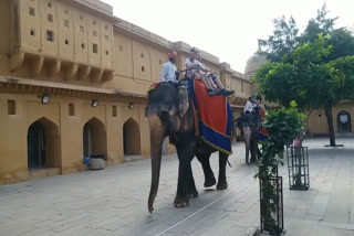 जयपुर न्यूजm, jaipur news, जयपुर पर्यटक स्थल, Jaipur tourist destination