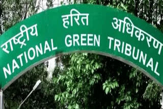 NGT says Forest Department take action on cutting of trees outside Anand Vihar railway station