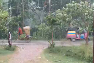 darbhanga: raining is good for agriculture