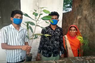 migrant-laborers-plant-sapling