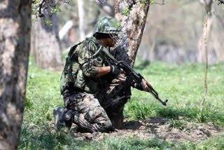 tral encounter: two militants killed