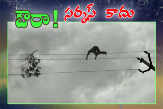 telengana news