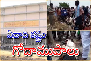 mirchi farmers protest in guntur