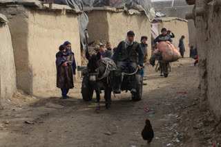 Afghan kids affected by COVID-19