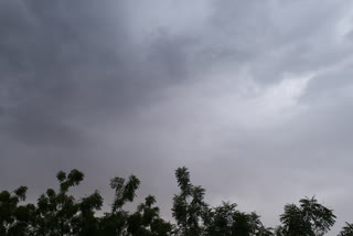 rain in bikaner, bikaner weather report