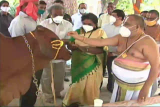 Governor Tamilsai who started the Goshala at rajubhavan in hyderabad