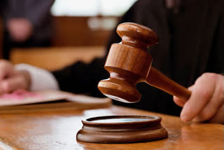 Bhima Koregaon case: SC seeks reply of Gautam Navlakha on NIA's plea