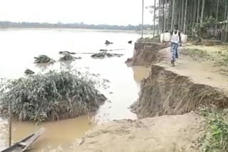 Kampur kapili river erosion