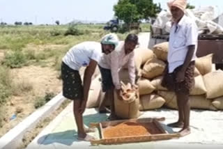 cheating in lentils buying centers in prakasamd dst some mandals