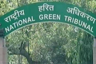 NGT hearing from court room itself through video conferencing from 8 June