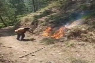 Person set fire to forest for video