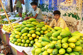 mango sales tax free