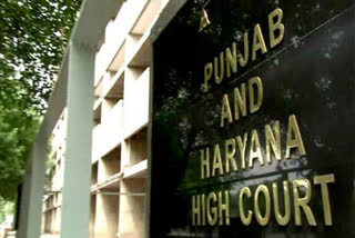 punjab and haryana high court